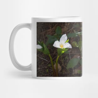 850_5500 Mug